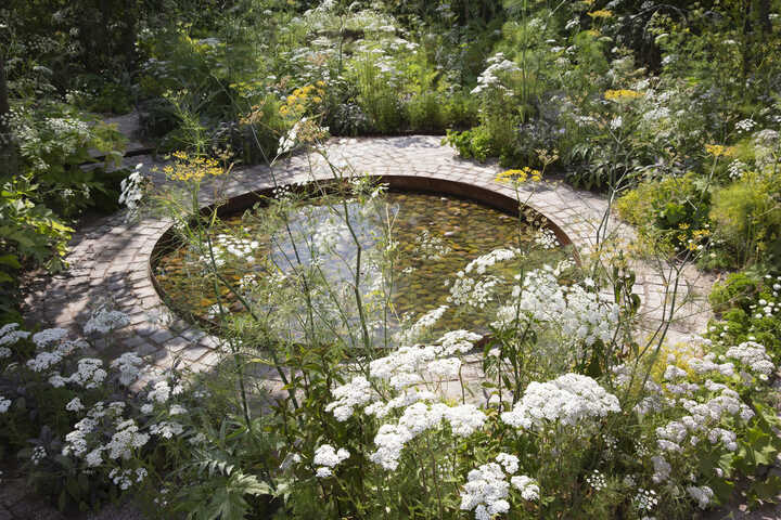 Alexandra Noble garden with pond