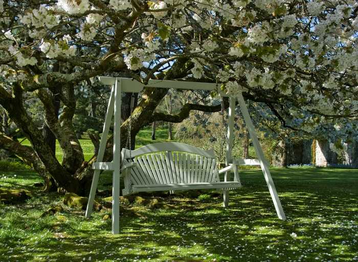 Painted swing seat under Spring bloom