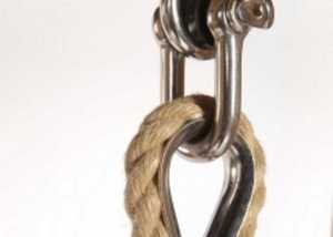 Metal loop used to hang a rope swing