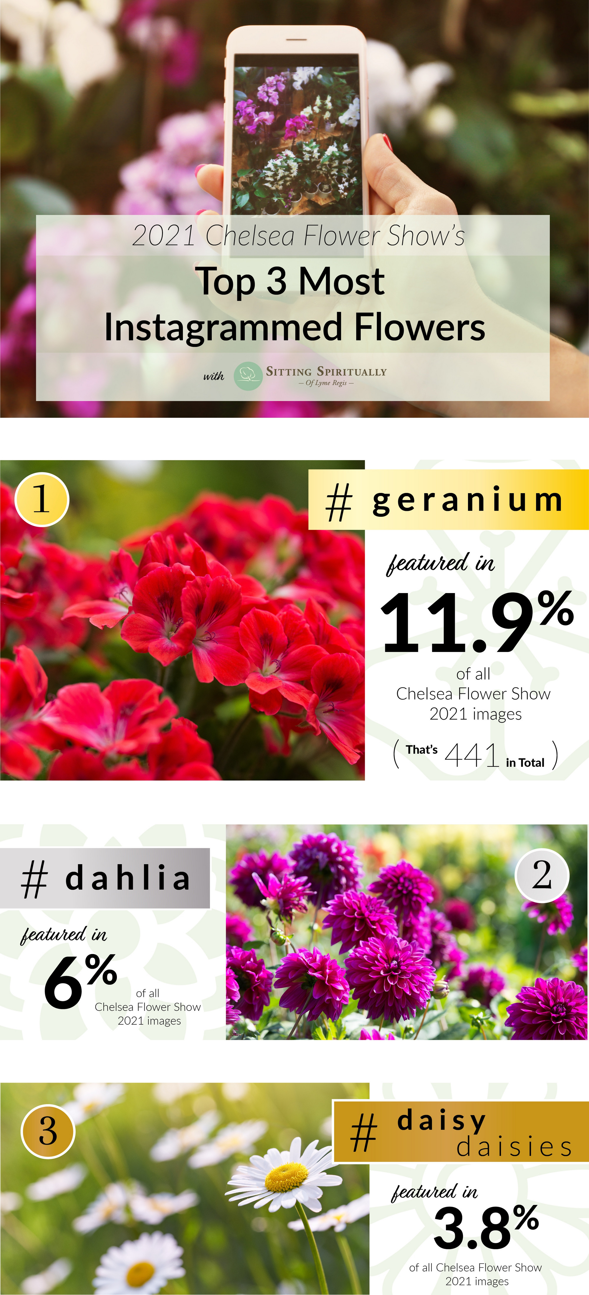 Instagram-flowers-infographic.jpg