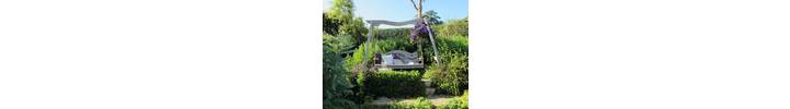 Swing Seat in Sitting Spiritually Garden