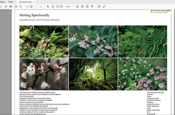 Woodland Zone & Fernery