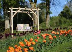 Garden Swing Seats for Floral Gardens