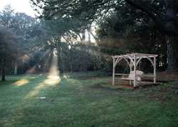 A Pergola for Abbotsbury Subtropical Gardens