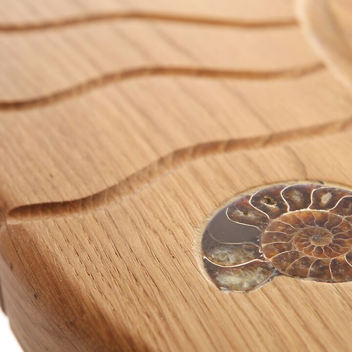 ammonite close up 72dpi.jpg