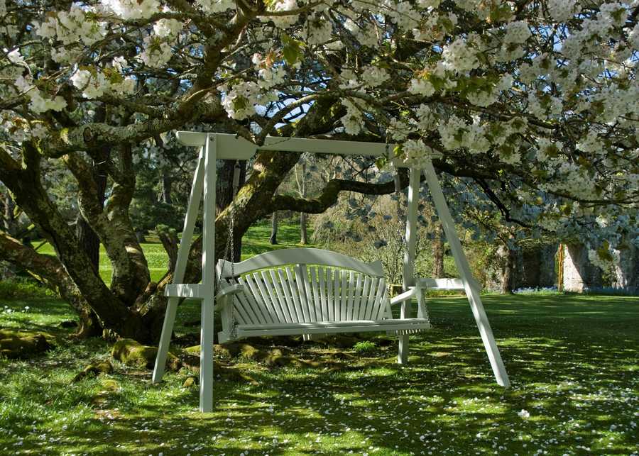 Painted Garden Swing Seat in Pine