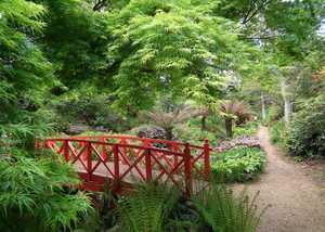 Abbotsbury Sub Tropical Garden