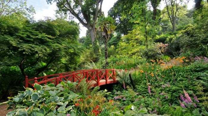 Abbotsbury Subtropical Gardens