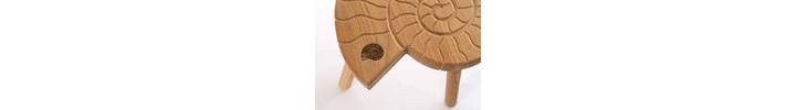 ammonite stool section 300dpi.jpg
