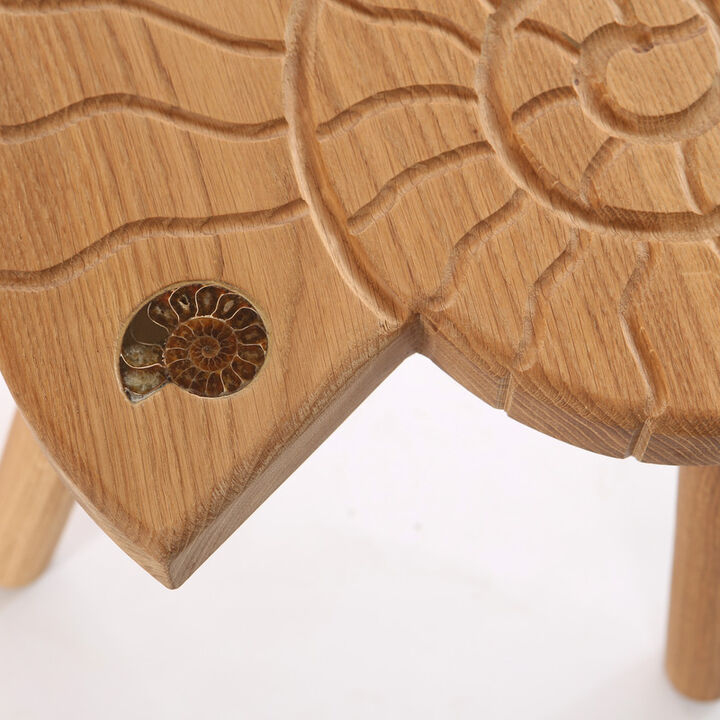 ammonite stool section 300dpi.jpg