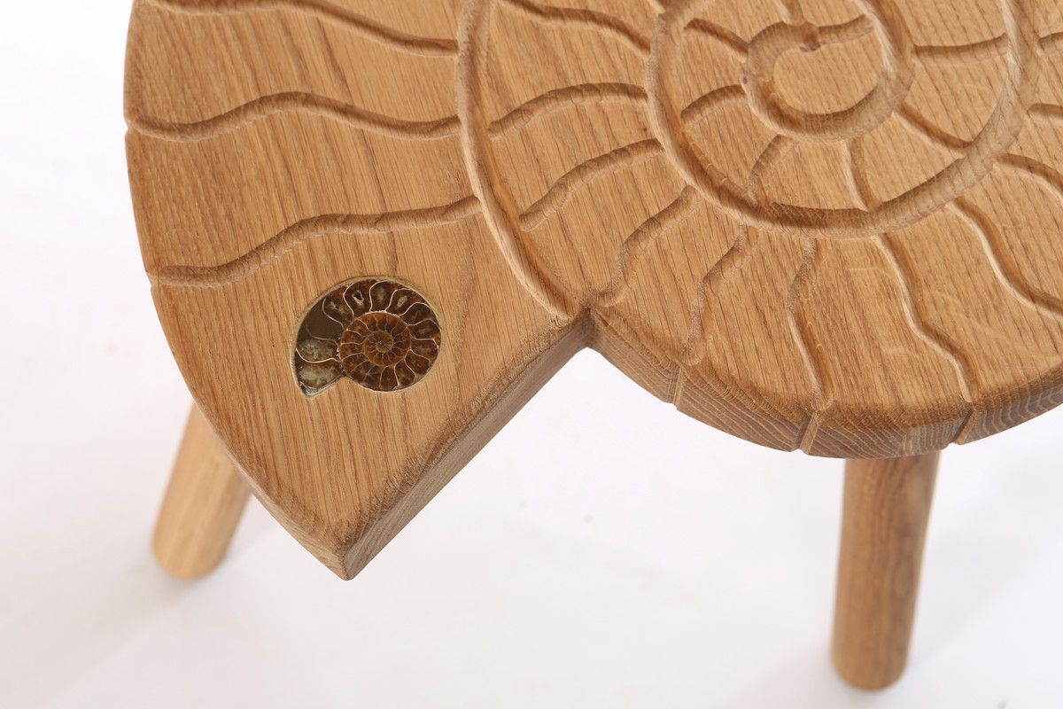 ammonite stool section 300dpi.jpg ammonite stool section 300dpi.jpg