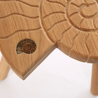 ammonite stool section 300dpi.jpg