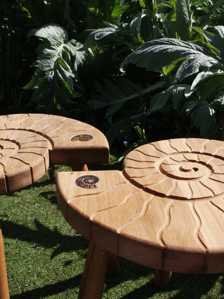 Ammonite Table 7.jpg