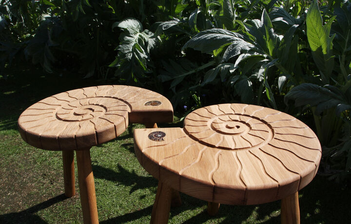 Ammonite Table 7.jpg