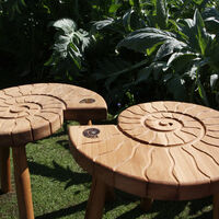 Ammonite Table 7.jpg