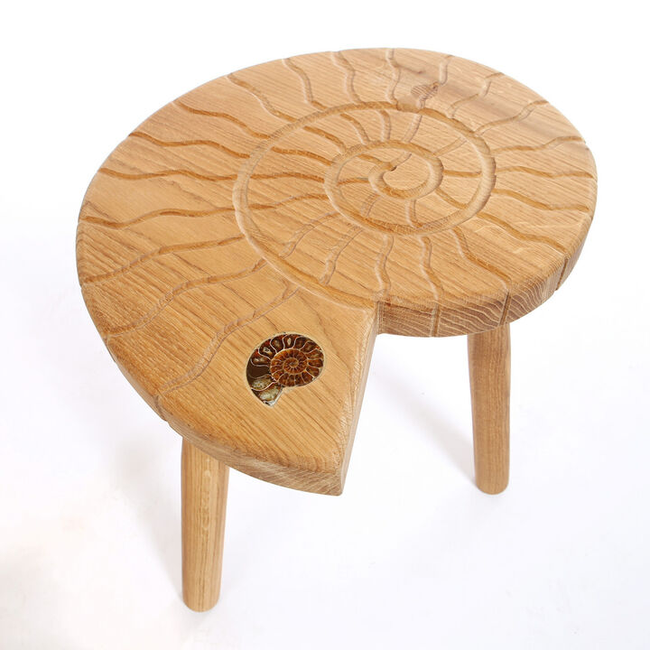 ammonite stool, 2 legs visible 300dpi.jpg