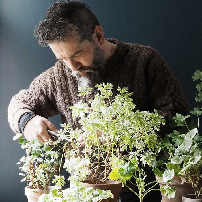 Andrew Timothy O'Brien pruning