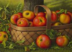 An Apple a Day by Katherine Crouch