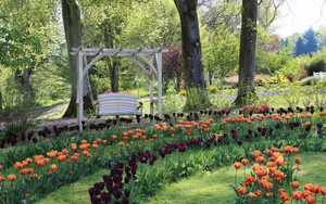 Curved Oak Swing Seat set amongst floral garden