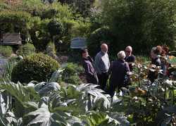 Open Gardens Weekends & Chelsea Flower Show Open Gardens Weekends & Chelsea Flower Show