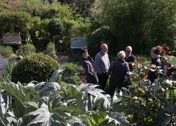 Open Gardens Weekends & Chelsea Flower Show