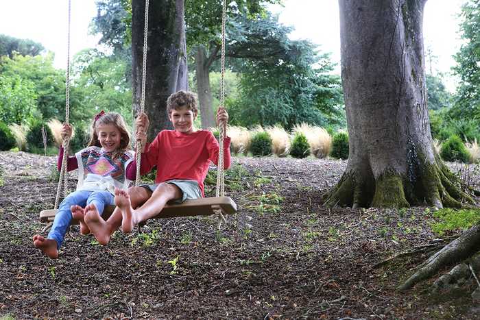 Two children swinging on tree swing