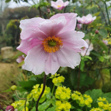 20200806_100845.jpg