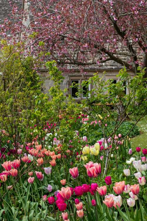 A Garden Well Placed book cover