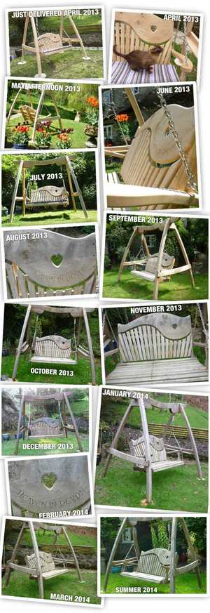 A year in the life of...