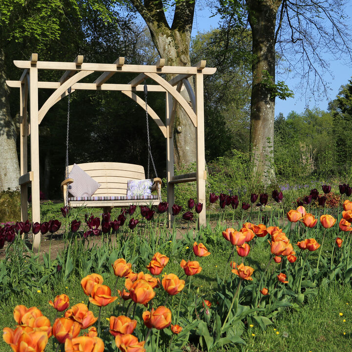 direct sun D 300 dip.jpg