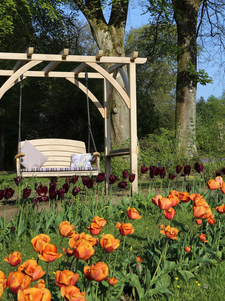 direct sun D 300 dip.jpg