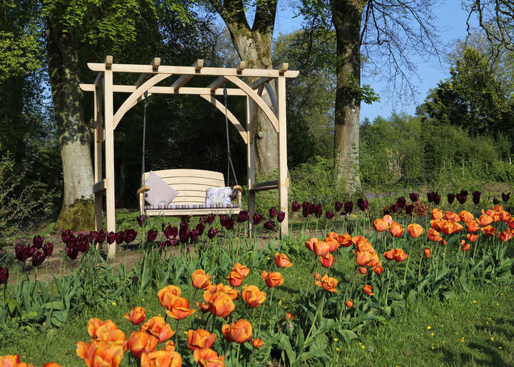 direct sun D 300 dip (1).jpg