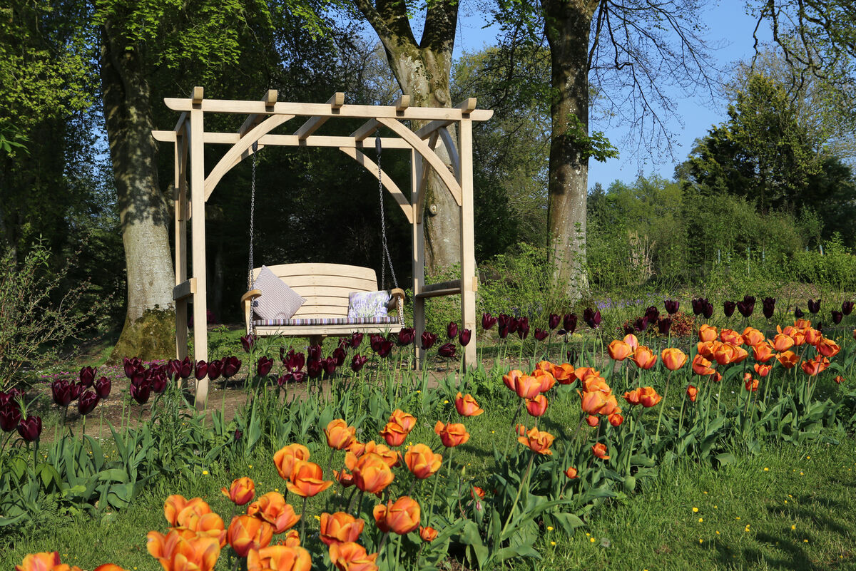 direct sun D 300 dip.jpg