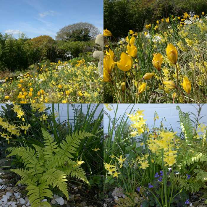 Yellows & Greens