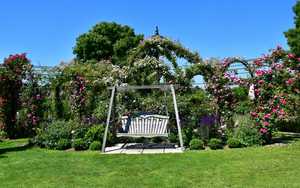 Sitting Spiritually Swing Seat at Peter Beales Roses