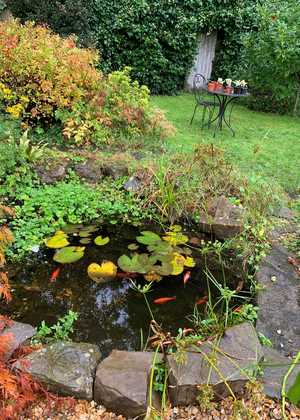 The pond with fish and a table and chairs of lawn in the background