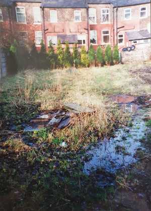 Before photo of the derelict garden