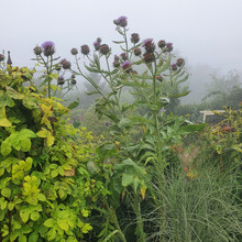 20200806_101126.jpg