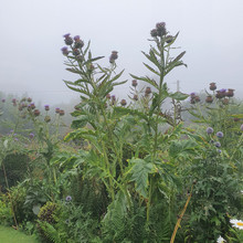 20200806_101033.jpg