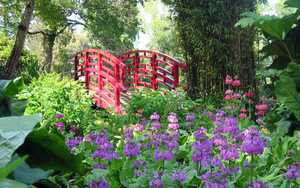 Beautiful Flowers at Forde Abbey Gardens