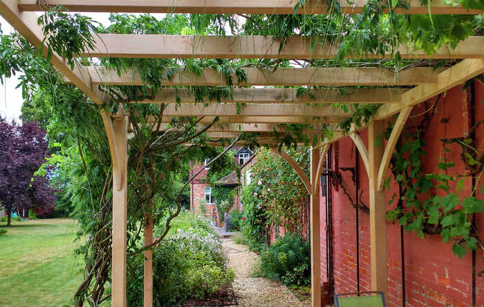 handmade pergola with growing plants handmade pergola with growing plants