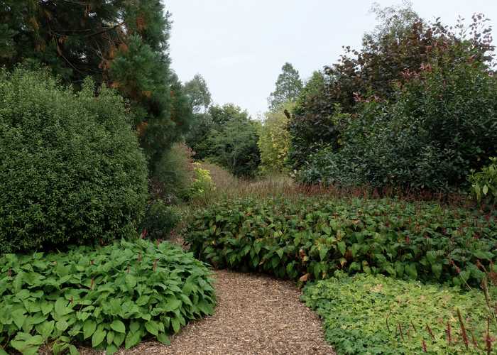 Bold rhymical drifts of perennials compete with the scale of mature trees and shrubs ...