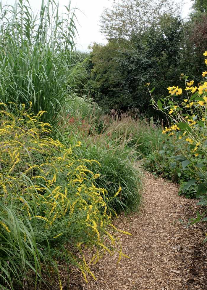 Winding paths...