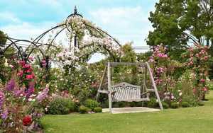 Our Garden Swing Seat under Blue Skies