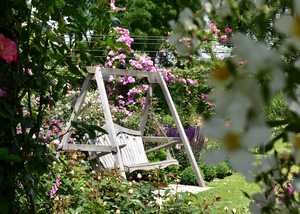 Peter Beales Roses, Norfolk