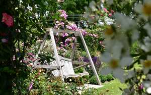 Swing Seat Display at Peter Beales Roses