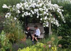 The Sitting Spiritually Pergola