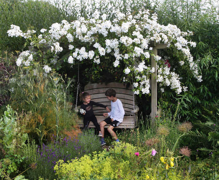 swing seat and pergola with flower canopy