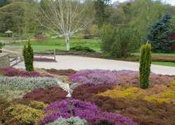 RHS Garden Harlow Carr