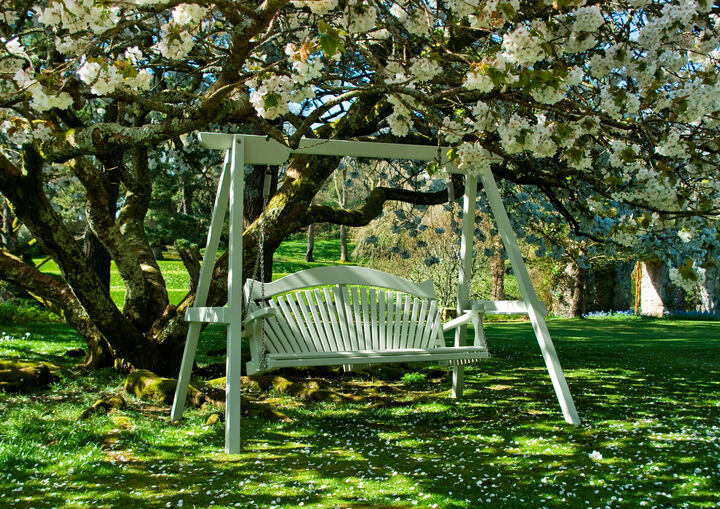 Harmony_Swing_Seat-FanBack.jpg
